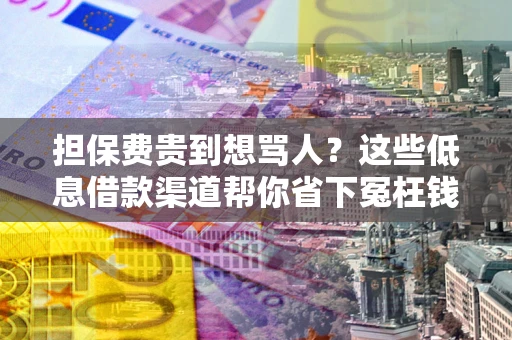 北京担保费贵到想骂人？这些低息借款渠道帮你省下冤枉钱