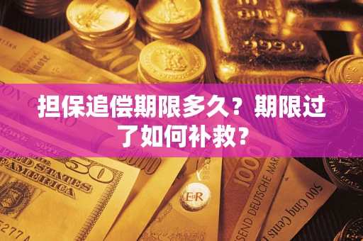 北京担保追偿期限多久？期限过了如何补救？