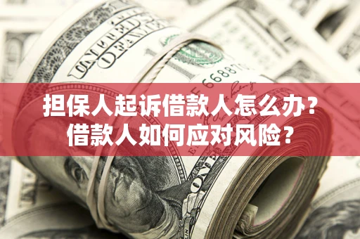北京担保人起诉借款人怎么办？借款人如何应对风险？