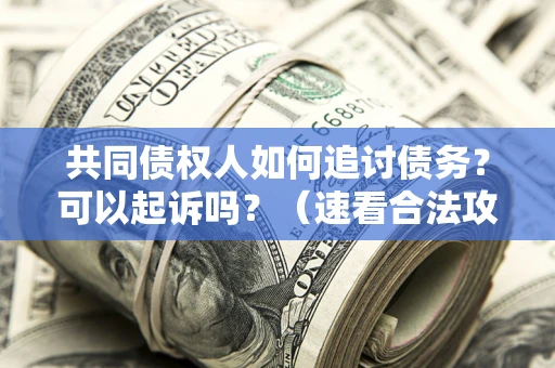 北京共同债权人如何追讨债务？可以起诉吗？（速看合法攻略）