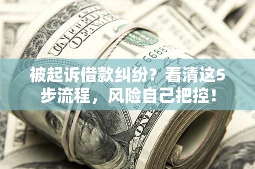 北京被起诉借款纠纷？看清这5步流程，风险自己把控！